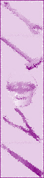 wp385cbe3c_0f.jpg
