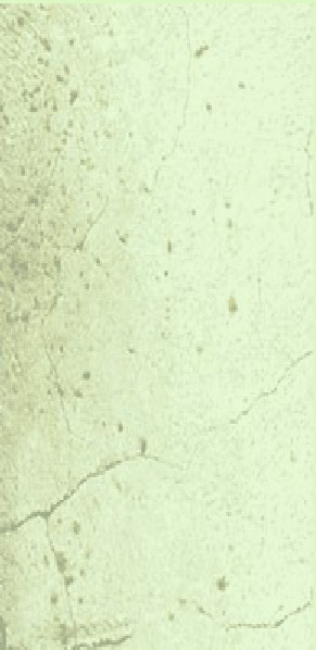 wp5d2aaba5_0f.jpg